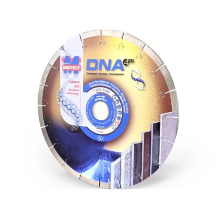 Dna Scx 1