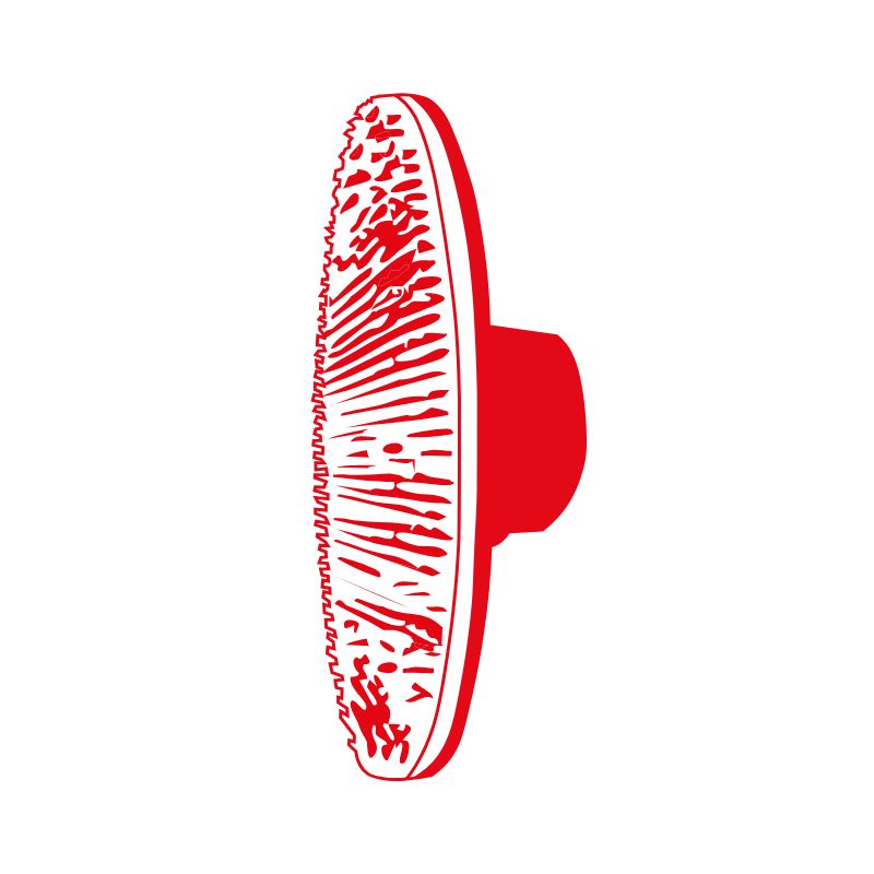 Backing Pads